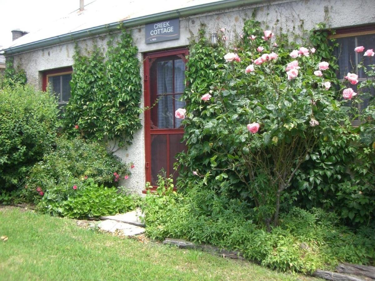 Lochinver Homestead And Cottages 玛丽伯勒 外观 照片