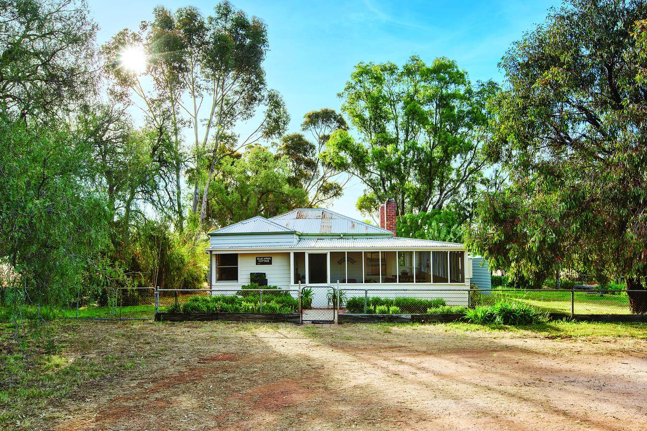 Lochinver Homestead And Cottages 玛丽伯勒 外观 照片